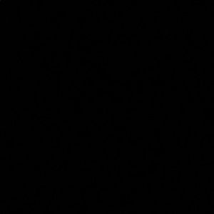 Meet your Posher, Savannah